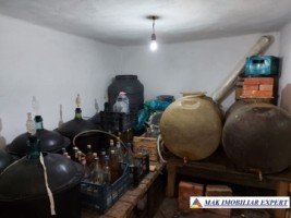 vila-11-camere-teren-6600-mp-de-vanzare-in-negoi-dolj-oportunitate-pentru-proiecte-rezidentiale-sau-turistice-56
