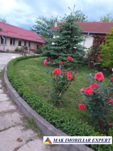 vila-11-camere-teren-6600-mp-de-vanzare-in-negoi-dolj-oportunitate-pentru-proiecte-rezidentiale-sau-turistice-71
