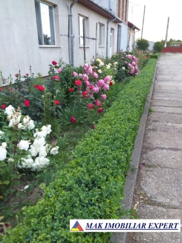vila-11-camere-teren-6600-mp-de-vanzare-in-negoi-dolj-oportunitate-pentru-proiecte-rezidentiale-sau-turistice-70
