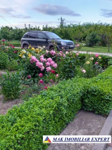 vila-11-camere-teren-6600-mp-de-vanzare-in-negoi-dolj-oportunitate-pentru-proiecte-rezidentiale-sau-turistice-73
