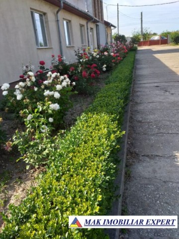 vila-11-camere-teren-6600-mp-de-vanzare-in-negoi-dolj-oportunitate-pentru-proiecte-rezidentiale-sau-turistice-72