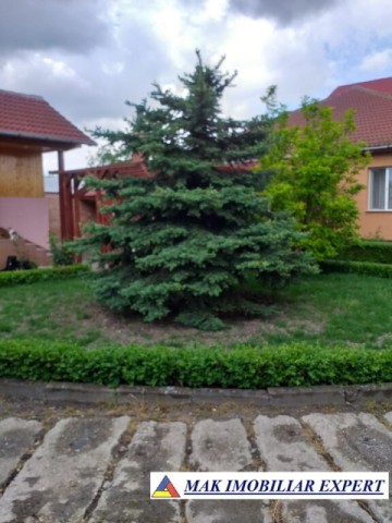 vila-11-camere-teren-6600-mp-de-vanzare-in-negoi-dolj-oportunitate-pentru-proiecte-rezidentiale-sau-turistice-81
