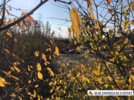 vila-11-camere-teren-6600-mp-de-vanzare-in-negoi-dolj-oportunitate-pentru-proiecte-rezidentiale-sau-turistice-78