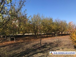 vila-11-camere-teren-6600-mp-de-vanzare-in-negoi-dolj-oportunitate-pentru-proiecte-rezidentiale-sau-turistice-80