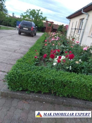 vila-11-camere-teren-6600-mp-de-vanzare-in-negoi-dolj-oportunitate-pentru-proiecte-rezidentiale-sau-turistice-75