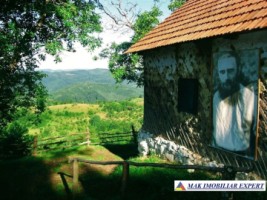 proprietate-istorica-de-vanzare-vatra-casei-parintesti-a-lui-arsenie-boca-teren-85-ha-hunedoara-0