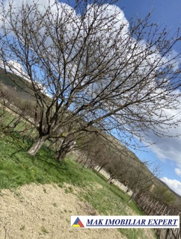 casa-cu-3-camere-si-teren-de-1074-mp-de-vanzare-in-sangeorgiu-de-padure-mures-ideala-pentru-locuinta-sau-vacanta-5