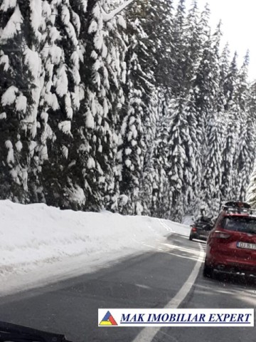 teren-de-vanzare-7-loturi-362-ha-intravilan-malaia-iesire-la-lacul-bradisor-ski-resort-transalpina-48-km-valcea