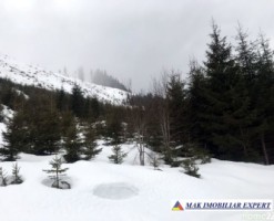 teren-de-vanzare-7-loturi-362-ha-intravilan-malaia-iesire-la-lacul-bradisor-ski-resort-transalpina-48-km-valcea-18