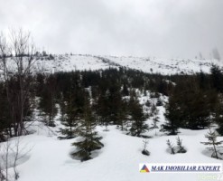 teren-de-vanzare-7-loturi-362-ha-intravilan-malaia-iesire-la-lacul-bradisor-ski-resort-transalpina-48-km-valcea-25