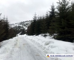 teren-de-vanzare-7-loturi-362-ha-intravilan-malaia-iesire-la-lacul-bradisor-ski-resort-transalpina-48-km-valcea-30