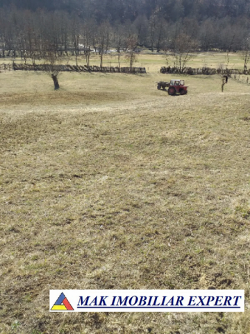 teren-extravilan-125-ha-de-vanzare-in-albestii-de-muscel-candesti-ideal-pentru-activitati-agricole-sau-investitii-1