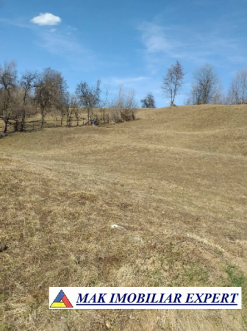 teren-extravilan-125-ha-de-vanzare-in-albestii-de-muscel-candesti-ideal-pentru-activitati-agricole-sau-investitii