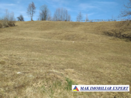 teren-extravilan-125-ha-de-vanzare-in-albestii-de-muscel-candesti-ideal-pentru-activitati-agricole-sau-investitii-3
