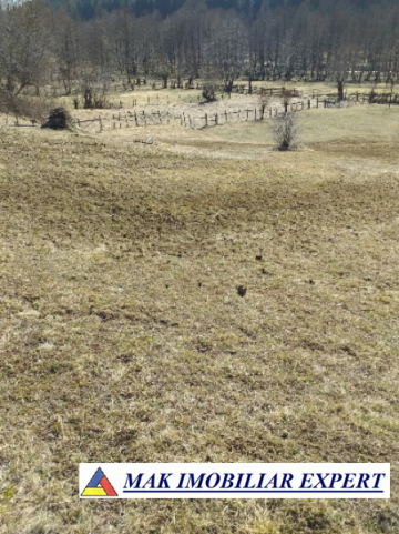 teren-extravilan-125-ha-de-vanzare-in-albestii-de-muscel-candesti-ideal-pentru-activitati-agricole-sau-investitii-2