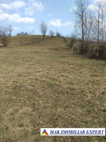 teren-extravilan-125-ha-de-vanzare-in-albestii-de-muscel-candesti-ideal-pentru-activitati-agricole-sau-investitii-4