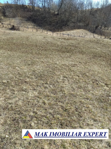 teren-extravilan-125-ha-de-vanzare-in-albestii-de-muscel-candesti-ideal-pentru-activitati-agricole-sau-investitii-5