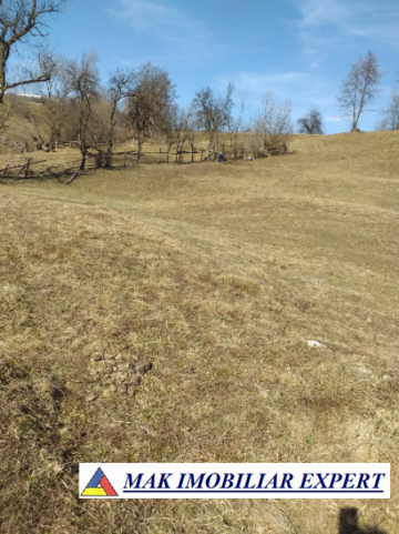 teren-extravilan-125-ha-de-vanzare-in-albestii-de-muscel-candesti-ideal-pentru-activitati-agricole-sau-investitii-6