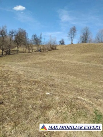 teren-extravilan-125-ha-de-vanzare-in-albestii-de-muscel-candesti-ideal-pentru-activitati-agricole-sau-investitii-7