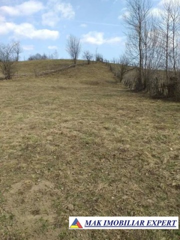 teren-extravilan-125-ha-de-vanzare-in-albestii-de-muscel-candesti-ideal-pentru-activitati-agricole-sau-investitii-9
