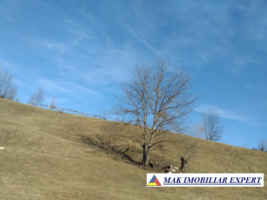 teren-extravilan-125-ha-de-vanzare-in-albestii-de-muscel-candesti-ideal-pentru-activitati-agricole-sau-investitii-15