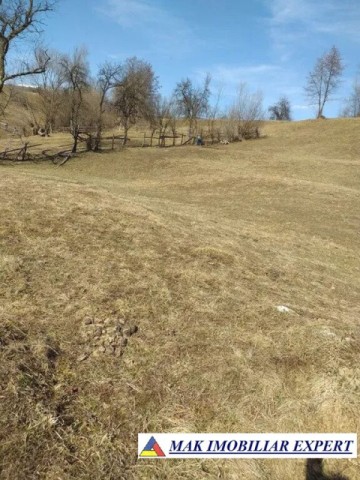teren-extravilan-125-ha-de-vanzare-in-albestii-de-muscel-candesti-ideal-pentru-activitati-agricole-sau-investitii-13