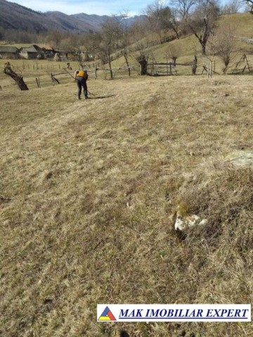 teren-extravilan-125-ha-de-vanzare-in-albestii-de-muscel-candesti-ideal-pentru-activitati-agricole-sau-investitii-14