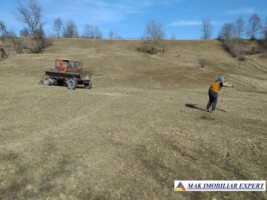 teren-extravilan-125-ha-de-vanzare-in-albestii-de-muscel-candesti-ideal-pentru-activitati-agricole-sau-investitii-12