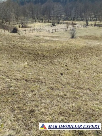 teren-extravilan-125-ha-de-vanzare-in-albestii-de-muscel-candesti-ideal-pentru-activitati-agricole-sau-investitii-11