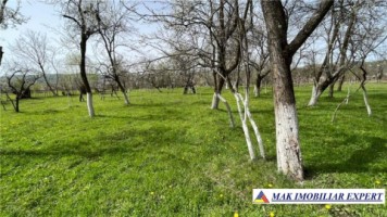 teren-1300-mp-extravilan-si-1275-mp-padure-de-vanzare-in-aninoasa-arges-2