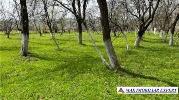 teren-1300-mp-extravilan-si-1275-mp-padure-de-vanzare-in-aninoasa-arges-1