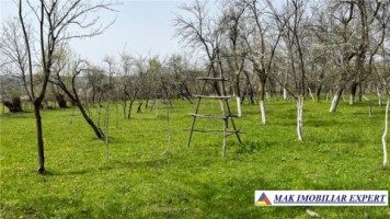 teren-1300-mp-extravilan-si-1275-mp-padure-de-vanzare-in-aninoasa-arges