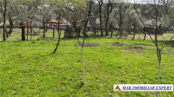 teren-1300-mp-extravilan-si-1275-mp-padure-de-vanzare-in-aninoasa-arges-3