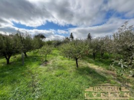 de-vanzare-casa-dpe-teren-2164mp-sat-hutanicom-vladeni-pret-128000-euro-negociabil-3