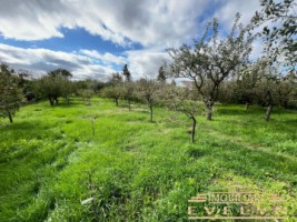 de-vanzare-casa-dpe-teren-2164mp-sat-hutanicom-vladeni-pret-128000-euro-negociabil-2