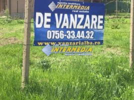 teren-intravilan-de-vanzare-in-sard-suprafete-600-800-mp