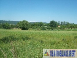 teren-intravilan-1800-mp-de-vanzare-in-baiculesti-arges-1