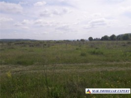 teren-extravilan-9300-mp-de-vanzare-in-balilesti-ideal-pentru-investitii-agricole-1
