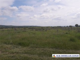 teren-extravilan-9300-mp-de-vanzare-in-balilesti-ideal-pentru-investitii-agricole