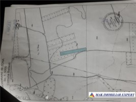 teren-extravilan-9300-mp-de-vanzare-in-balilesti-ideal-pentru-investitii-agricole-3
