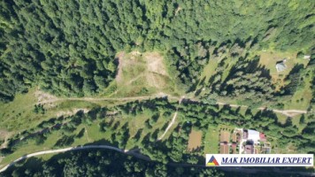 teren-intravilan-6000-mp-de-vanzare-in-berevoiesti-ideal-pentru-dezvoltari-rezidentiale-5
