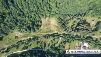 teren-intravilan-6000-mp-de-vanzare-in-berevoiesti-ideal-pentru-dezvoltari-rezidentiale-2