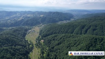 teren-intravilan-6000-mp-de-vanzare-in-berevoiesti-ideal-pentru-dezvoltari-rezidentiale-3