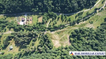 teren-intravilan-6000-mp-de-vanzare-in-berevoiesti-ideal-pentru-dezvoltari-rezidentiale-4