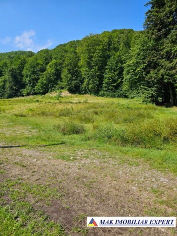 teren-intravilan-6000-mp-de-vanzare-in-berevoiesti-ideal-pentru-dezvoltari-rezidentiale-9