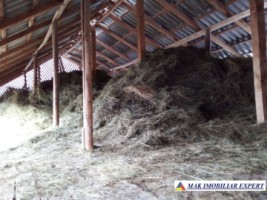 teren-intravilan-5000-mp-cu-constructie-de-vanzare-in-berevoiesti-ideal-pentru-dezvoltari-rezidentiale-sau-comerciale-14