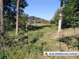 teren-intravilan-2500-mp-de-vanzare-in-bradulet-galesu-arges-ideal-pentru-constructii-rezidentiale