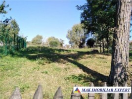 teren-intravilan-2500-mp-de-vanzare-in-bradulet-galesu-arges-ideal-pentru-constructii-rezidentiale-1