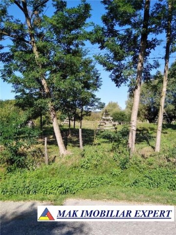 teren-intravilan-2500-mp-de-vanzare-in-bradulet-galesu-arges-ideal-pentru-constructii-rezidentiale-2