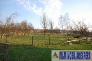 teren-intravilan-3600-mp-de-vanzare-in-bughea-de-jos-arges